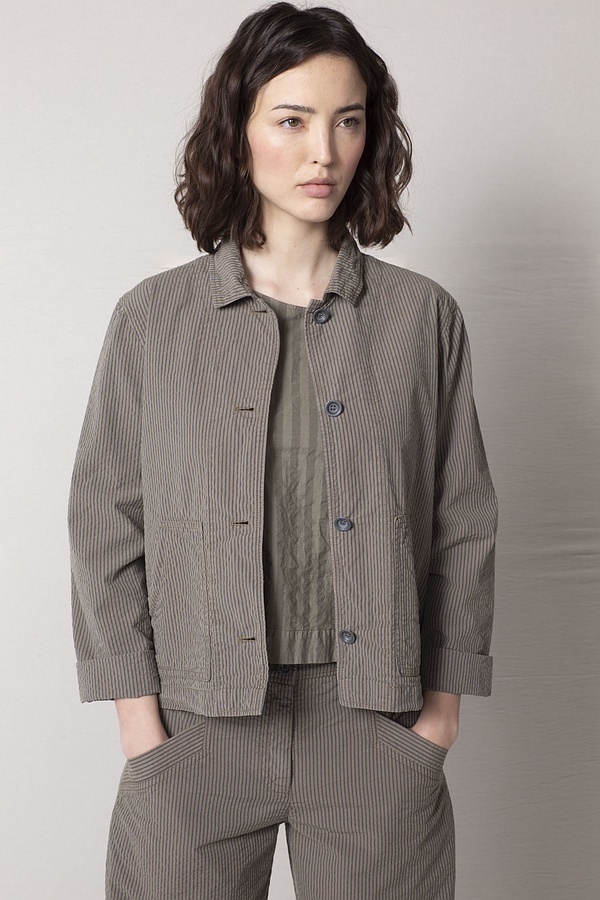 Jacke 501 - Reine Baumwolle mit Seersucker Streifen - 770BRANCH - 60250110033