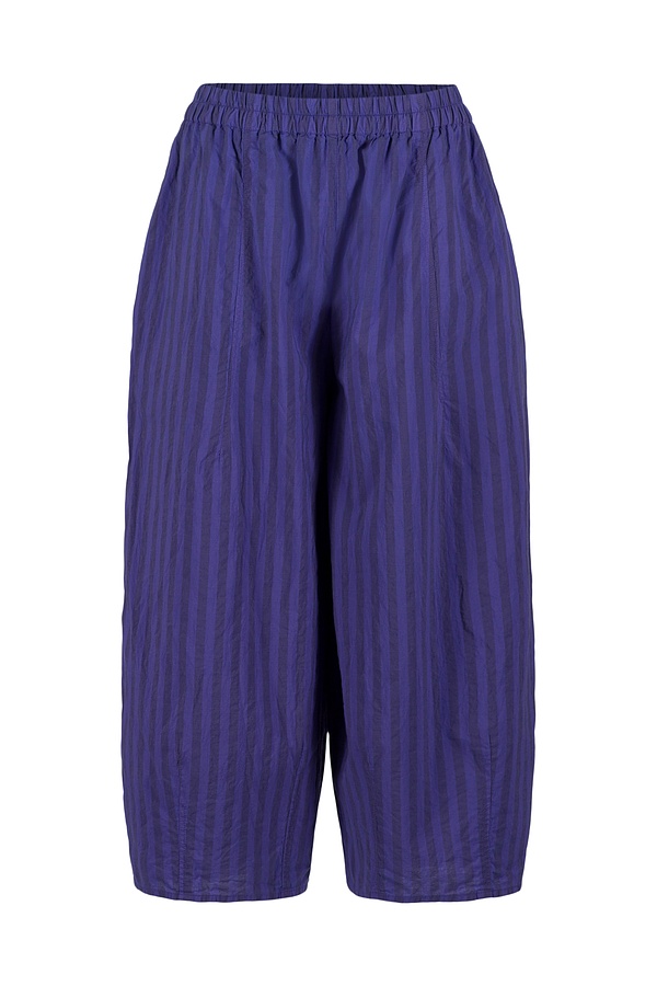Trousers 510 380IRIS