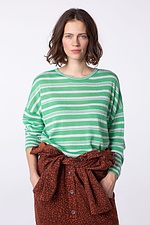 Pullover 428 640PLANTS