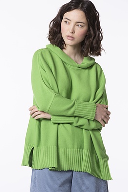 Pullover 501
