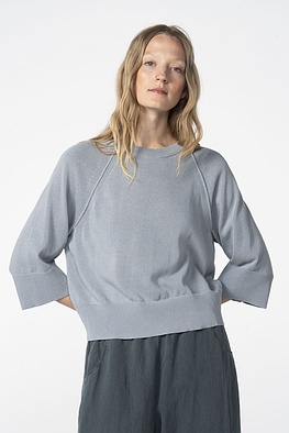Pullover 605