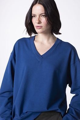 Pullover Fellsa / Sweat-Jersey