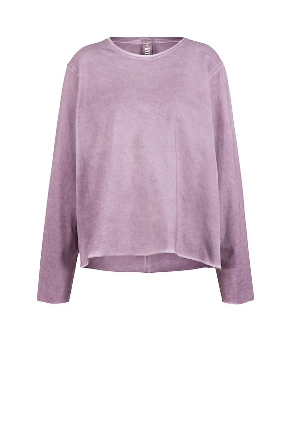 Shirt 502 362ASTER