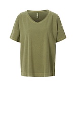 Shirt Willder / Cotton Jersey 752MEADOW