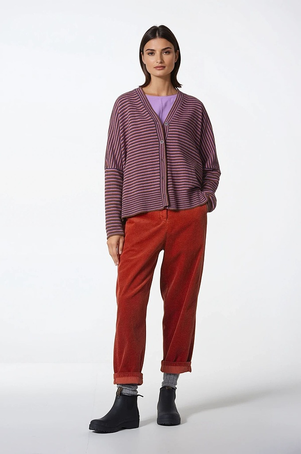 Trousers 301 - 100% Cotton Cord - 242GOJI - 60230710002