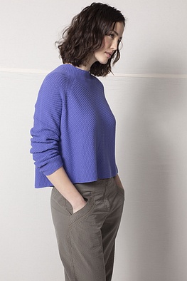 Veste 504