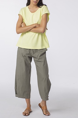 Broek 243