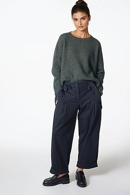 Broek 312
