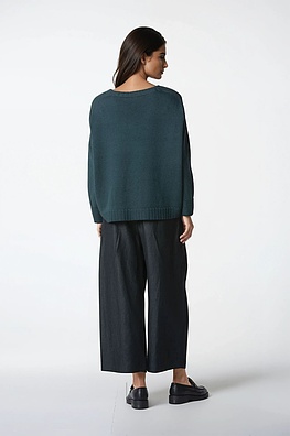 Broek 315