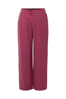 Broek 344