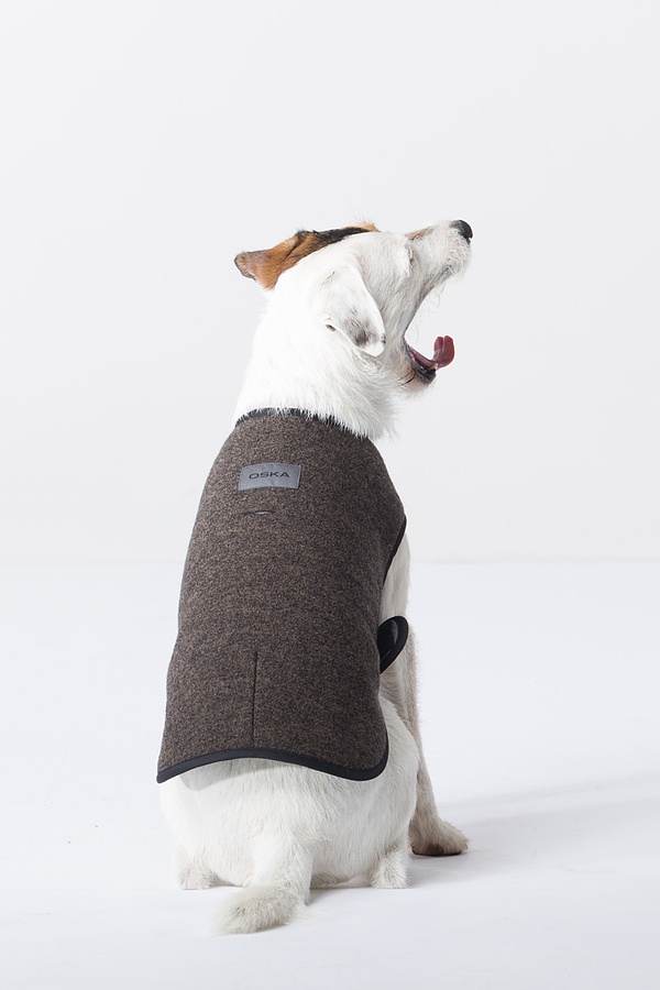 Dog coat - 860ROOT - 10160714043