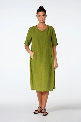 Dress 519