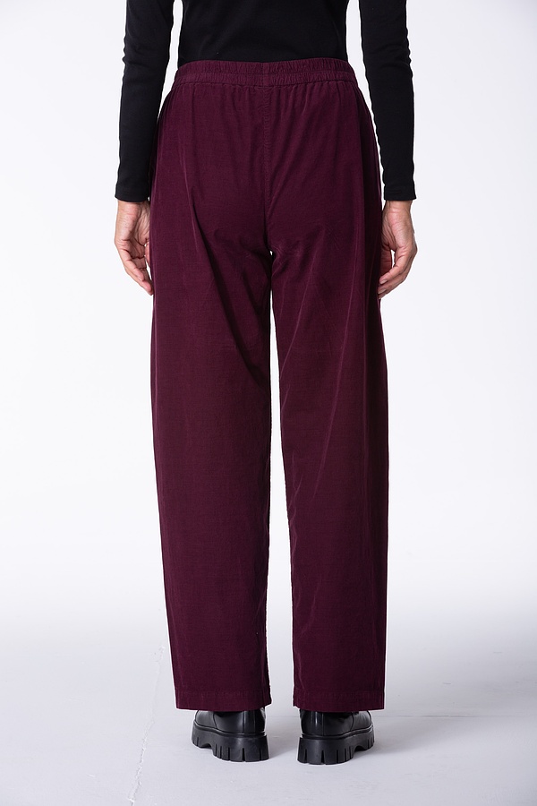 Pantalon 433 372WINE