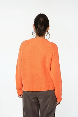Jacket 510