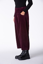 Broek 432 372WINE