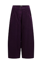 Broek 432 482ACAI