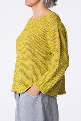 Pullover 323