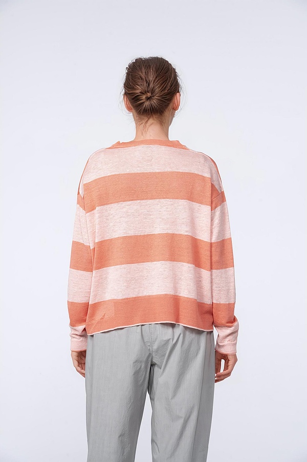 Pullover 427 240POMELO