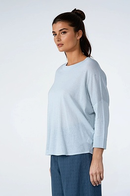 Pullover 509