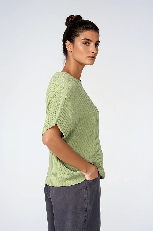 Pullover 516 - Pure Cotton - 720CALLA - 10250113015