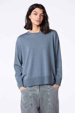 Pullover 516