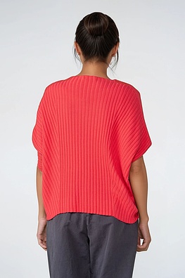 Pullover 516 - Reine Baumwolle - 350DAHLIA - 10250113015
