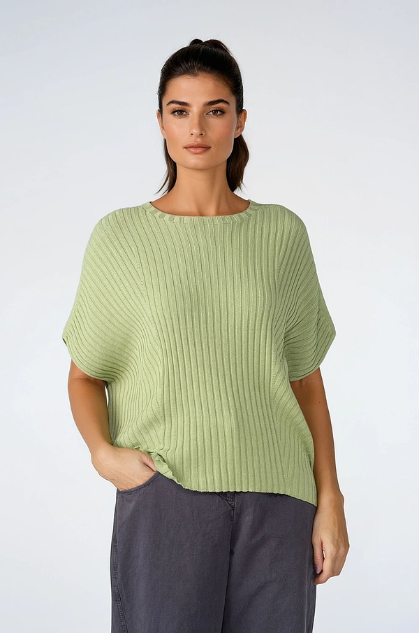 Pullover 516 - Reine Baumwolle - 720CALLA - 10250113015