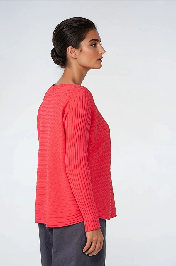 Pullover 517 - Pure Cotton - 350DAHLIA - 10250113016