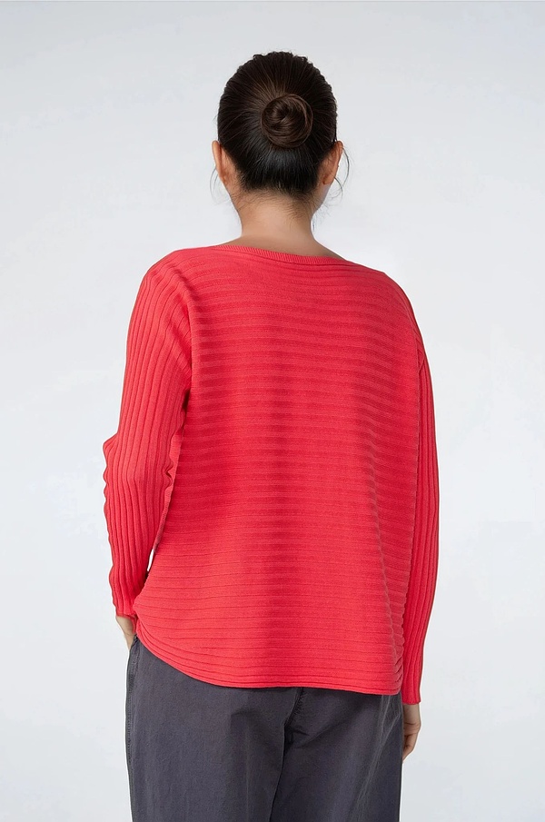 Pullover 517 - Reine Baumwolle - 350DAHLIA - 10250113016