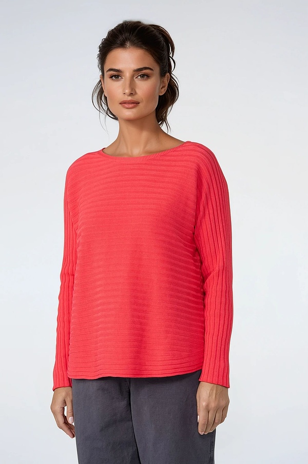 Pullover 517 - Reine Baumwolle - 350DAHLIA - 10250113016