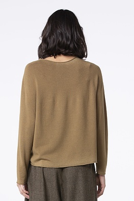Pullover 520
