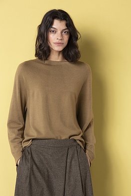 Pullover 520