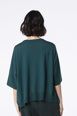 Pullover 521