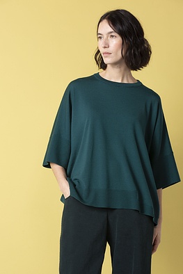 Pullover 521