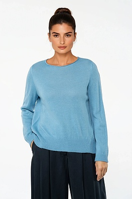 Pullover 531
