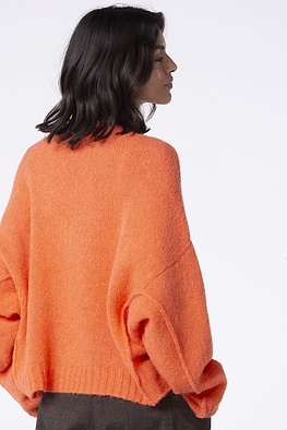 Pullover 532