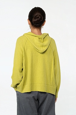 Pullover 534
