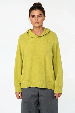 Pullover 534