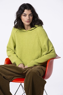 Pullover 534