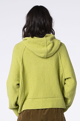 Pullover 534