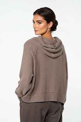 Pullover 534