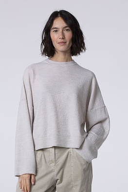 Pullover 537
