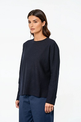 Pullover 538