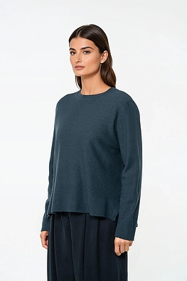Pullover 538