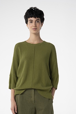 Pullover 623