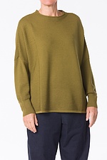 Pullover Monnocrom 332 / 100% merino wool 760LIZARD