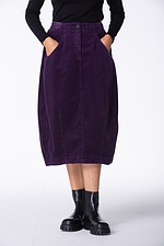 Rok 403 482ACAI