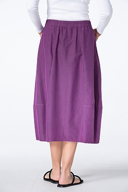 Rok 501