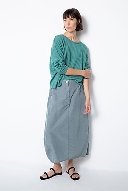 Rok 501
