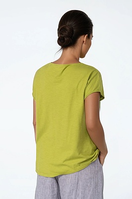 Shirt 515 - Jersey de Coton Bio - 750MATCHA - 10250110062
